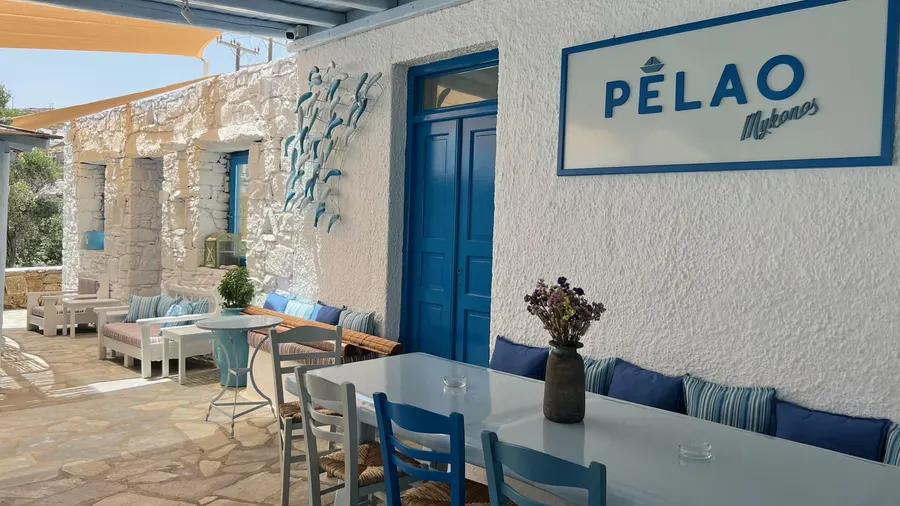 Pelao 1